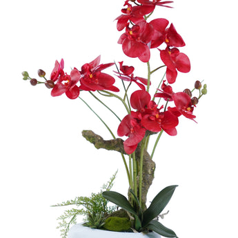 Elegante Arreglo Floral Orquídea Cymbidium Artificial Decoración Lujosa Hogar Cerámica