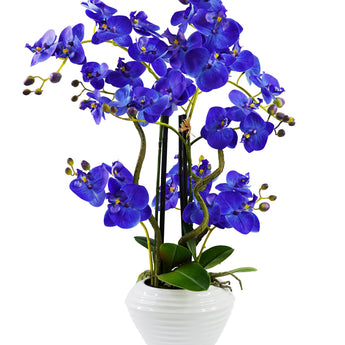 Elegante Arreglo Floral Orquídea Cymbidium Artificial 66cm Jarrón Cerámico Decoración Hogar