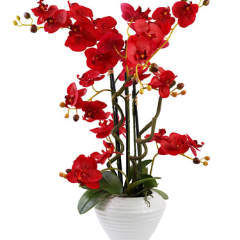 Elegante Arreglo Floral Orquídea Cymbidium Artificial 66cm Jarrón Cerámico Decoración Hogar